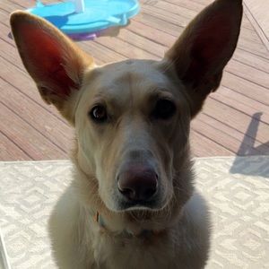 Meet your Posher, Brenna